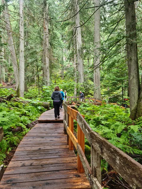 Area B (Shelter Bay/Mica Creek)