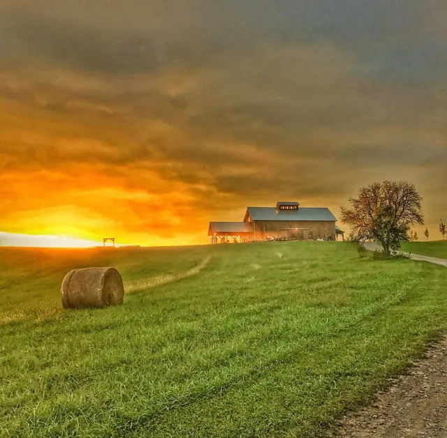 Weston Red Barn Farm