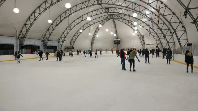 Mimi DiPietro Family Skating Center