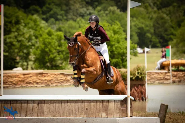 Iron Star Equestrian