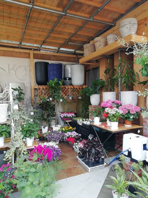 Kamakurachuohana Shop