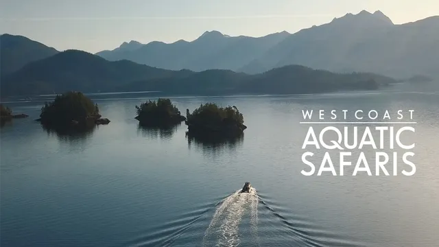 West Coast Aquatic Safaris