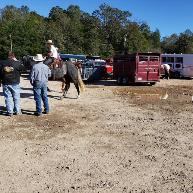 Salem Livestock Auction