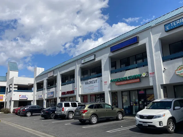 Venice Shopping Center