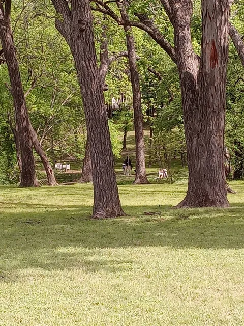 Bachman Creek Greenbelt