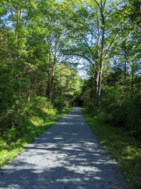 Cabin Branch Stream Valley Park