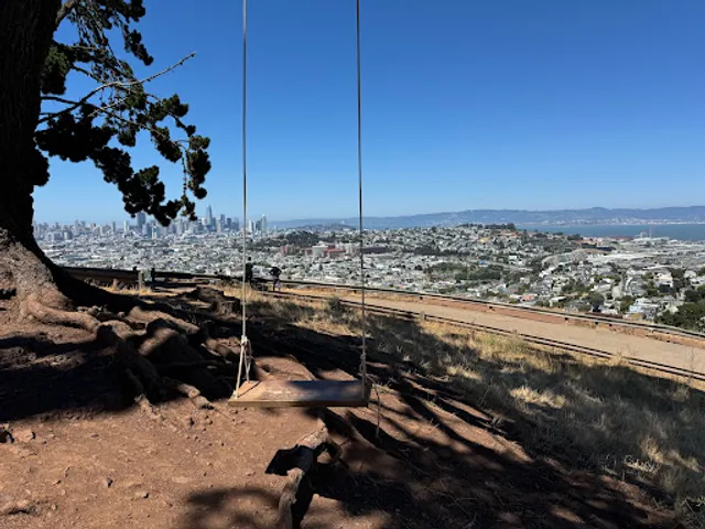 Bernal Heights Swing