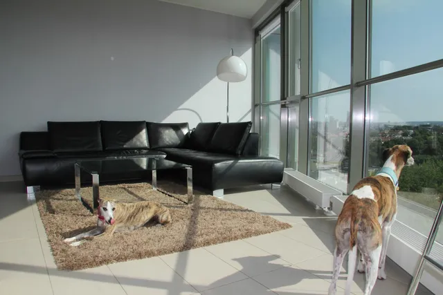 Helios City Vilnius Apartment