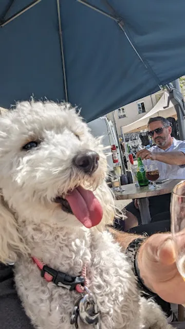 Bar De L'Hotel De Ville