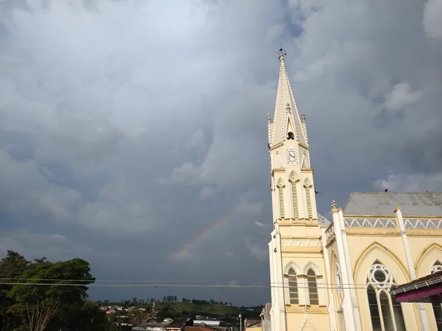 PARISH MINOR BASILICA OF SAINT LOUIS GONZAGA