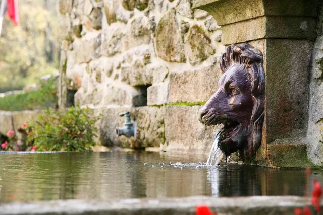 Cottage/Villa - Casa d' João Enes Afife Residence - Turismo Rural