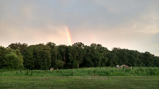 Kenny B's Blue Marlin