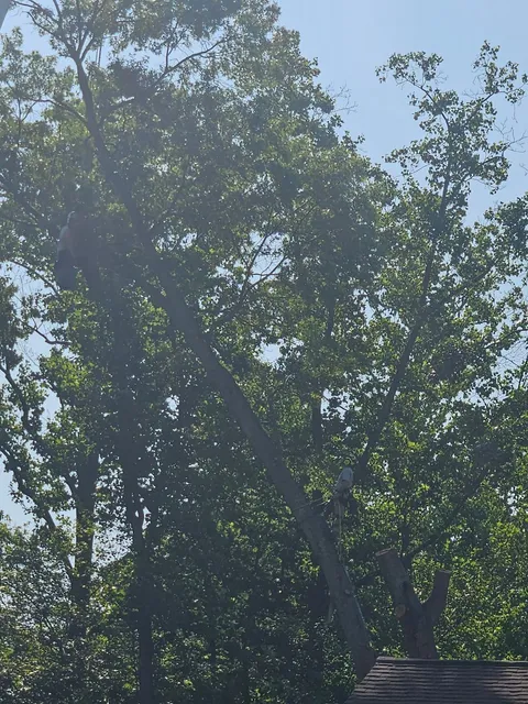 Fairfax Hydrocrane Co