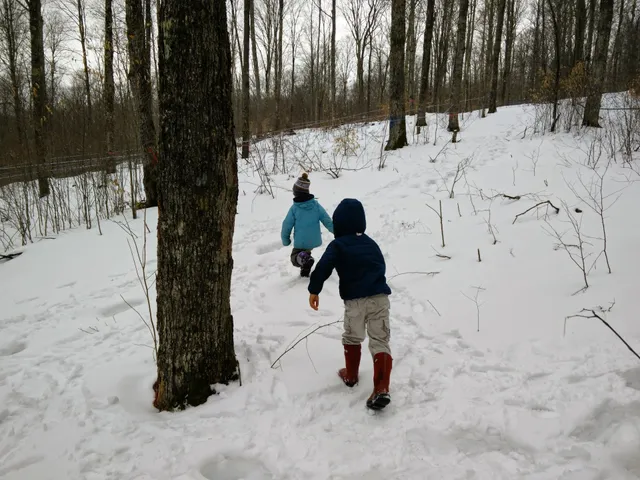 Arnot Teaching and Research Forest