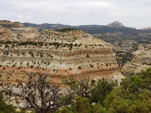 Devil's Canyon View Area