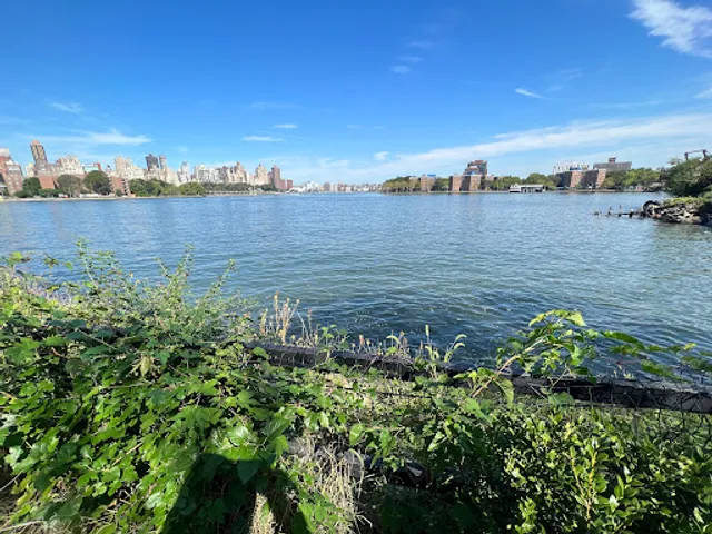 Socrates Sculpture Park