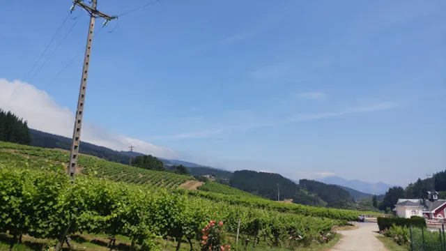 Bodegas Virgen De Lorea, Zalla, Vizcaya