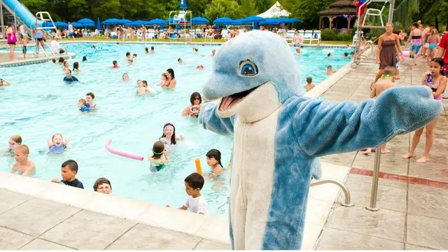 Chartwell Family Oasis Swim Club