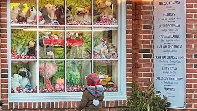 The Zoo Company Toy Store