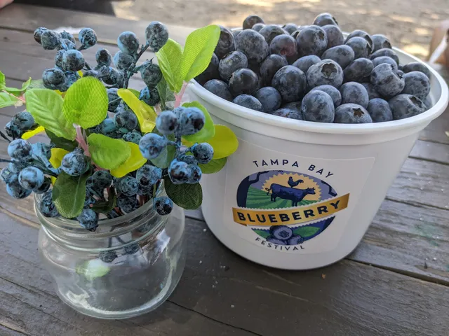 Tampa Bay Blueberry Festival