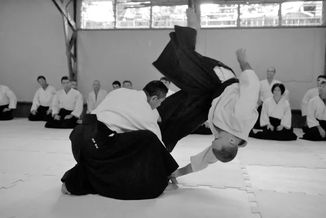Aikido Shinryukan