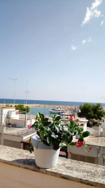 Midiè B&B Savelletri