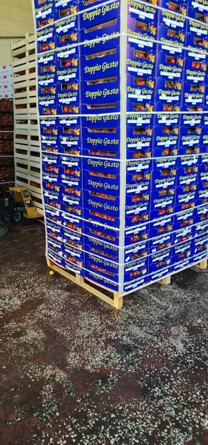 Mercato generale ortofrutta