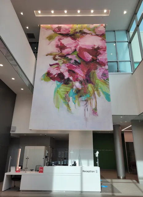 Main Line Women's Healthcare - King of Prussia