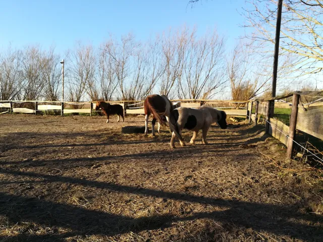 wattenmeer-ferien.de Ferienwohnungen beim Wattführer