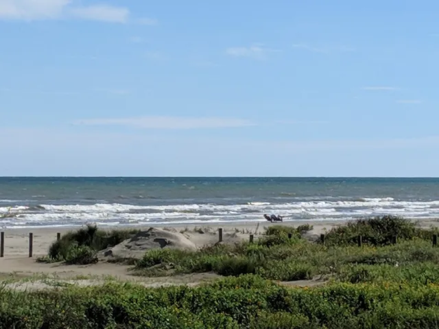 Best of the West Galveston