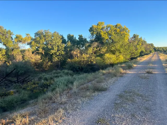 Paseo del Bosque Trail: Central Trailhead