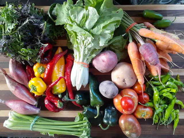 Backyard Urban Garden Farms