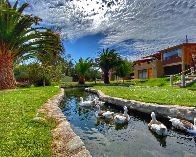 Resort Vertientes de Elqui