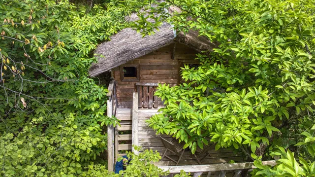 Cévennes Insolites | Gîtes & Nature | Cabane perchée | Bulle panoramique