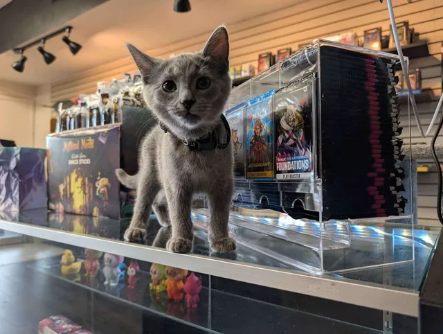 Titanforge 3D Printing & Hobbies