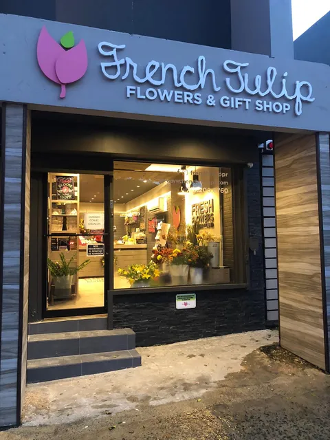 French Tulip San Juan
