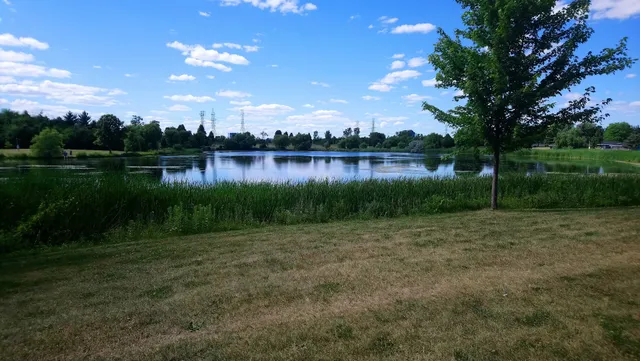 Centennial Park Picnic area 8