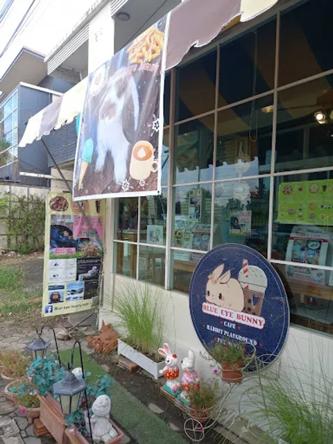 Blue Eye Bunny Cafe