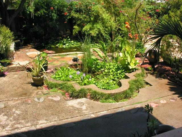 Alwun House Foundation