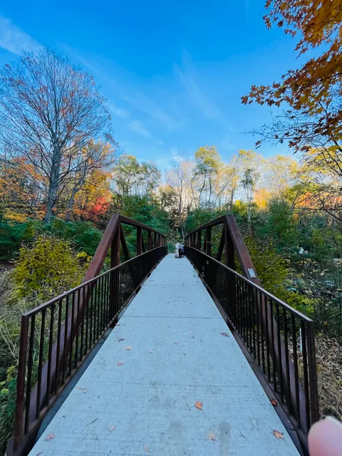 Wilket Creek Recreational Trail