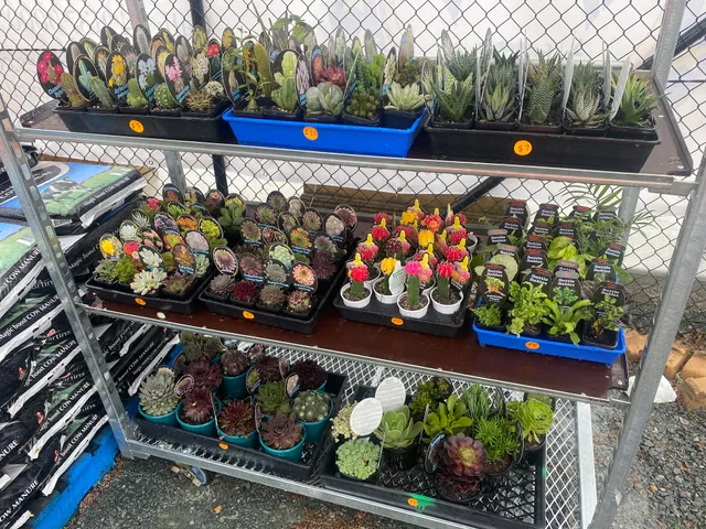Canberra Nursery & Garden Centre