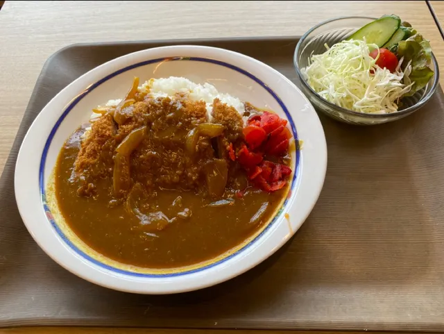 Japanese cuisine restaurant KAMI-HIKOKI