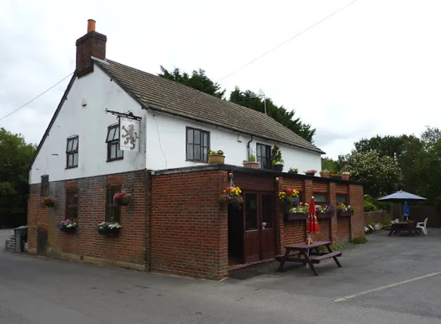 The Black Lion