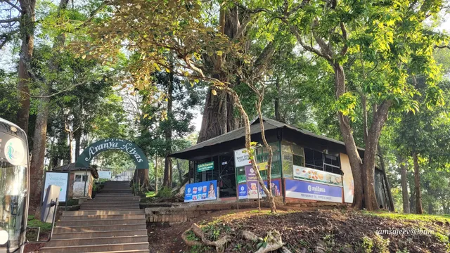 Aranya Homestay, Thekkady