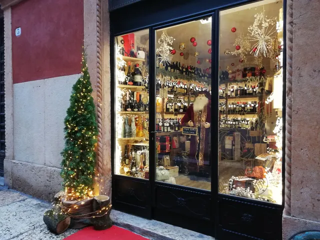 Aktis Di Dell'Agnola Francesca