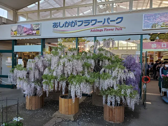 Ashikaga Flower Park