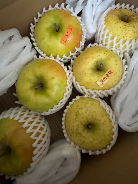 RED APPLE Akashino Orchards