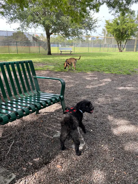 Dog park