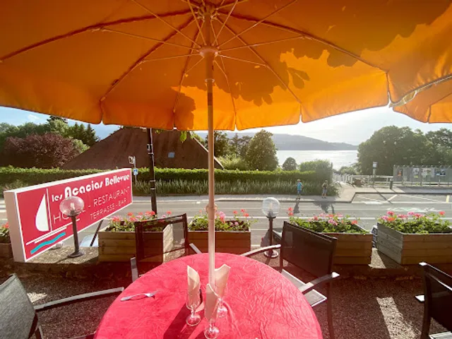 Les Acacias Bellevue - Hotel et Restaurant - Veyrier du Lac