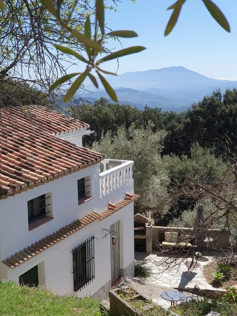 La Pura Vida Yunquera